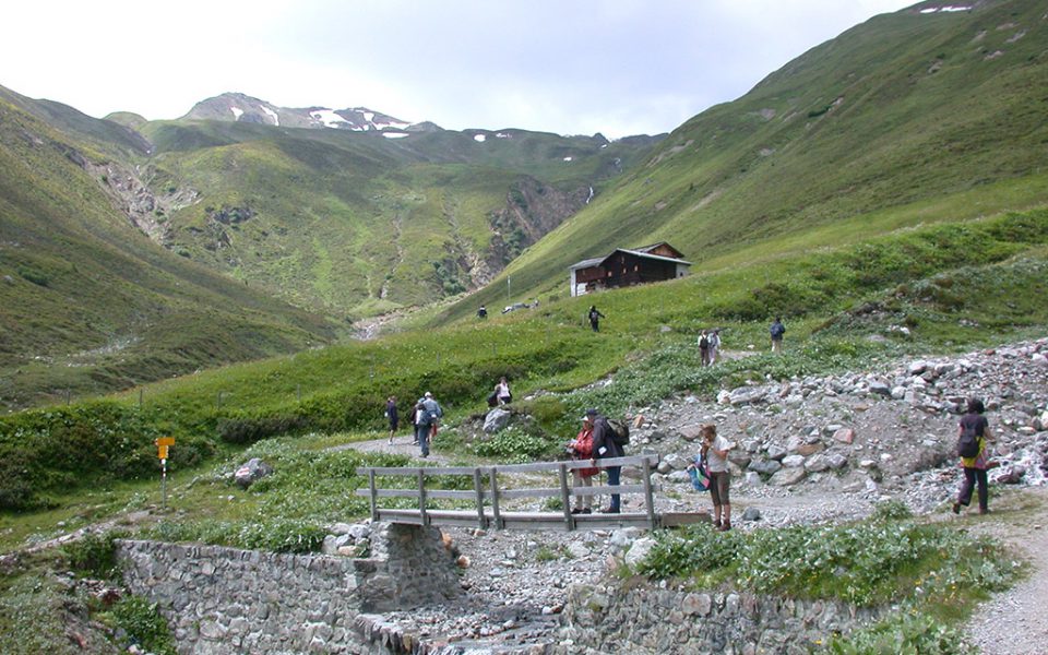 Escursioni botaniche